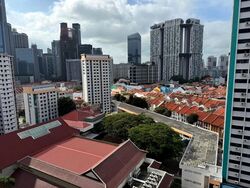 Blk 4 Sago Lane (Central Area), HDB 3 Rooms #626404551